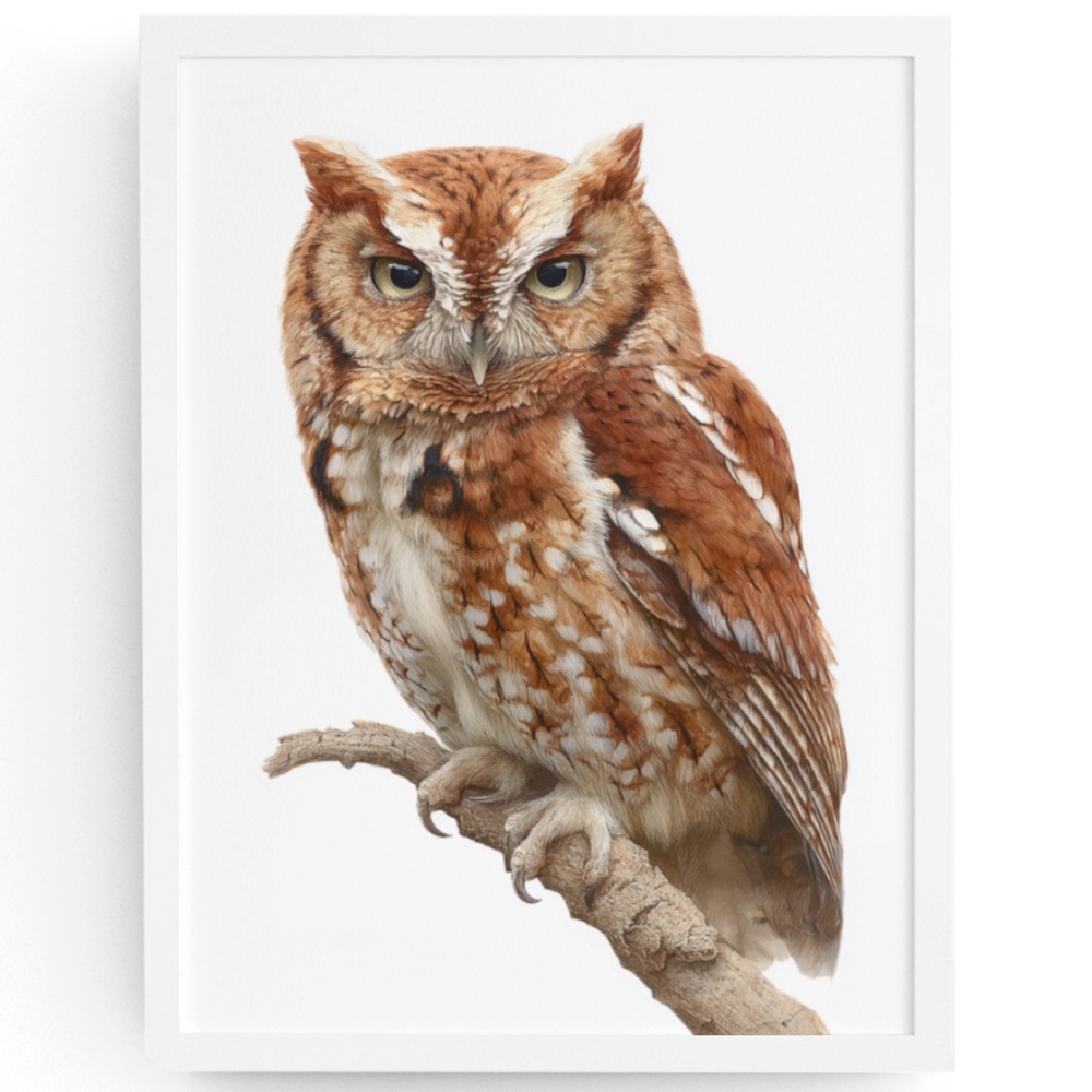 Watercolor Eastern Screech Owl Portrait Wall Art Print Poster, Unframed